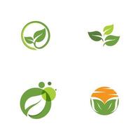 logos de l'écologie des feuilles d'arbre vert vecteur