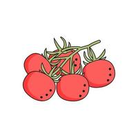 tomates cerises isolées sur fond blanc pour menu, bannière, affiche, étiquette, emblème. style de bande dessinée vecteur