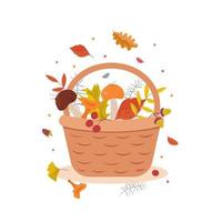 panier avec feuilles d'automne, baies, champignons, glands, feuilles de chêne. chute des feuilles. attributs traditionnels de la saison d'automne. illustration vectorielle vecteur