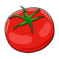 tomate en illustration de style vectoriel