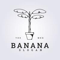 logo de la conception d'art de ligne d'illustration vectorielle de bananier, bananier intérieur dans le pot vecteur