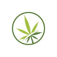 création de logo vectoriel feuille de cannabis. illustration vectorielle de modèle de conception de logo de feuille de marijuana.