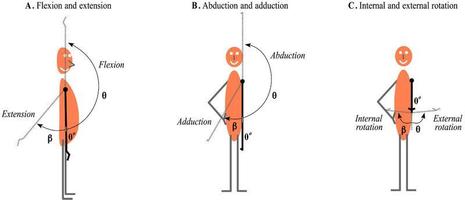 mouvement de l'épaule, flexion, extension, abduction, adduction, rotation externe et rotation interne vecteur