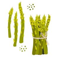 asperges. légume sain. illustration vectorielle vecteur