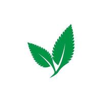 logo de feuille de menthe vecteur