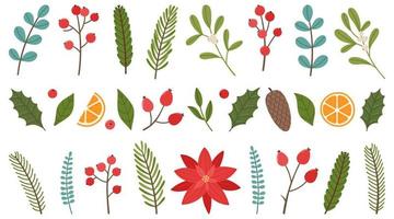 ensemble d'éléments de plantes de noël. baies de noël, feuilles, brindilles, fleurs. illustration vectorielle isolée sur fond blanc vecteur