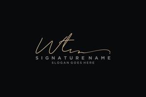 initiale wt lettre signature logo modèle design élégant logo signe symbole modèle vecteur icône