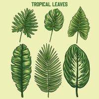 quelques dessins de feuilles tropicales vectorielles vecteur