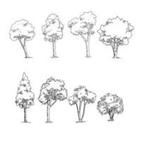 ensemble d'arbres croquis main dessin silhouette illustration vectorielle noir et blanc. vecteur