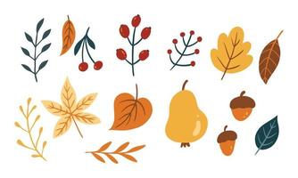 ensemble de feuilles et de légumes mignons pour l'élément de conception d'automne. collection de dessin animé simple d'illustration dessinée à la main de la nature. vecteur