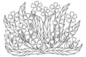 fleurs et feuilles dessinées à la main sur fond blanc pour livre de coloriage pour adultes vecteur