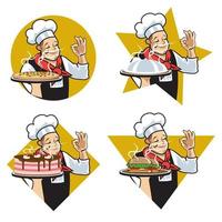 logo étoile du chef. jeu d'illustrations vectorielles vecteur