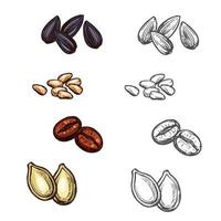 icônes de croquis de vecteur de haricots et de graines de noix