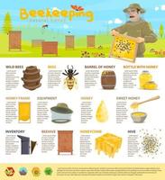 infographie de vecteur d'apiculture de miel