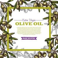 étiquette d'huile d'olive avec cadre vert de fruits et de feuilles vecteur