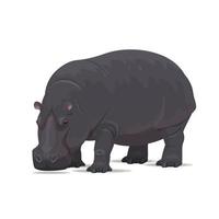 icône plate animal africain vecteur hippopotame