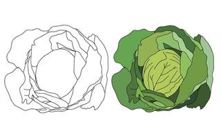 chou à grandes feuilles vert vif. nourriture fraîche et saine. la nourriture végétarienne. ingrédient de salade biologique. icône de vecteur plat.