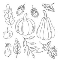 ensemble de doodle de récolte d'automne. symboles d'automne - feuilles tombées, citrouille, pomme, poire, gland, baies. dessin vectoriel isolé sur fond blanc.