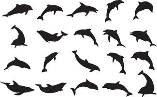 l'ensemble de la collection de silhouettes de dauphins vecteur