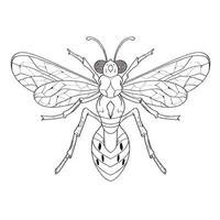 illustrations vectorielles d'insectes de livre de coloriage dessinés à la main, dessin, gravure, encre, dessin au trait. vecteur