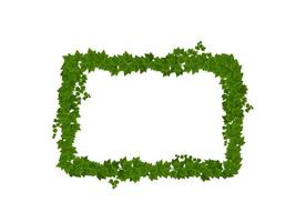 cadre de feuilles et de lianes vert lierre, bordure de plantes vecteur