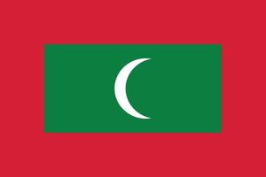 le drapeau national des maldives vector illustration