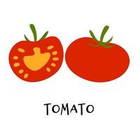 illustration vectorielle de tomate rouge mûre dans un style plat dessiné à la main. vecteur