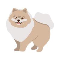 heureux dessin animé chiot poméranien. chien mignon. illustration vectorielle plate isolée sur fond blanc. vecteur