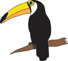 toucan dessiné à la main vecteur