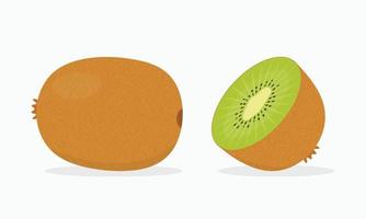 kiwi frais juteux exotique entier et tranche. conception de vecteur de fruits biologiques.