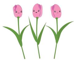 ensemble vectoriel de tulipes roses isolées. tulipes de style kawaii.