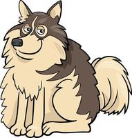 dessin animé finnois lapphund chien de race personnage comique vecteur