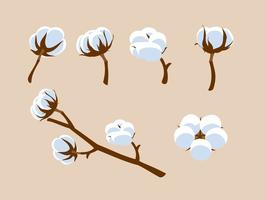 Vecteur libre de fleurs de coton
