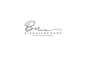 initial bn lettre signature logo modèle design élégant logo signe symbole modèle vecteur icône