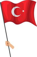 drapeau de la turquie avec croissant de lune et étoile vecteur