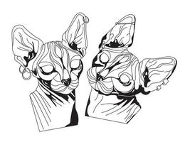 illustration vectorielle de tatouage de chats sphinx. croquis de tatouage à l'encre noire dessinés à la main chats avec de grandes oreilles. chats chauves graphiques avec piercing et boucles d'oreilles. pour le tatouage, l'impression de vêtements, l'autocollant, le t-shirt, le design vecteur