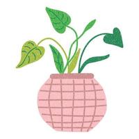 fleur, plante à feuilles en pot. plante domestique. style minimal de dessin animé plat. vecteur