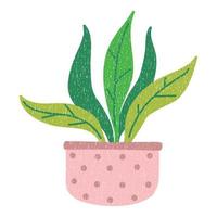 fleur, plante à feuilles en pot. plante domestique. style minimal de dessin animé plat. vecteur