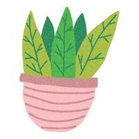 fleur, plante à feuilles en pot. plante domestique. style minimal de dessin animé plat. vecteur