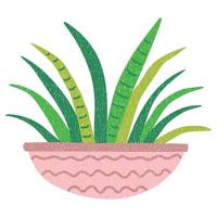 fleur, plante à feuilles en pot. plante domestique. style minimal de dessin animé plat. vecteur