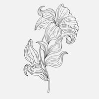 coloriages de belles fleurs de lys imprimables. contour des lys. page noir et blanc pour livre de coloriage. coloration anti-stress. fleurs d'art en ligne vecteur