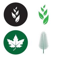 modèle de logo de feuille d'arbre écologique vecteur