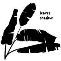 feuilles tropicales de banane silhouette noire isolées sur fond blanc. motif d'ombre. design exotique pour le textile en tissu vintage, la mode, l'impression, l'affiche vecteur
