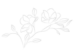 fond blanc avec un dessin de contour d'une branche de magnolia, fond horizontal, croquis, isoler sur blanc vecteur