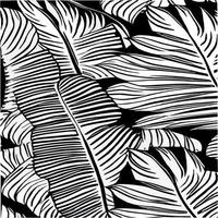 modèle sans couture de feuilles exotiques en noir et blanc. arrière-plan décoratif vectoriel abstrait élégant. feuilles de palmier tropical, motif floral vectorielle continue de feuille de jungle. papier peint de style tropical grunge.