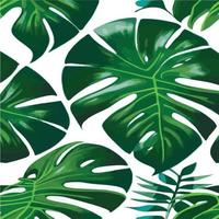 fond blanc motif monstera vert. motif exotique avec des feuilles tropicales. illustration vectorielle. motif de feuilles de monstera. feuilles de palmier tropical. tissu design exotique, impression textile, papier d'emballage vecteur