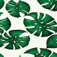 fond blanc motif monstera vert. motif exotique avec des feuilles tropicales. illustration vectorielle. motif de feuilles de monstera. feuilles de palmier tropical. tissu design exotique, impression textile, papier d'emballage vecteur