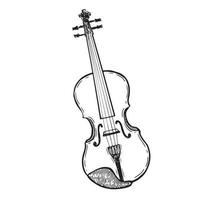 violon illustration dessinée à la main. vecteur