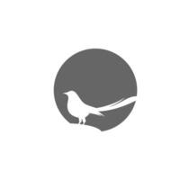 conception d'illustration d'icône de logo de pie vecteur