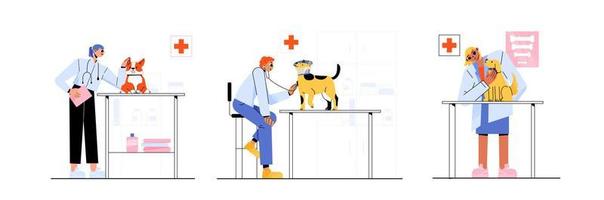 médecins vétérinaires examinent les chiens en clinique vecteur